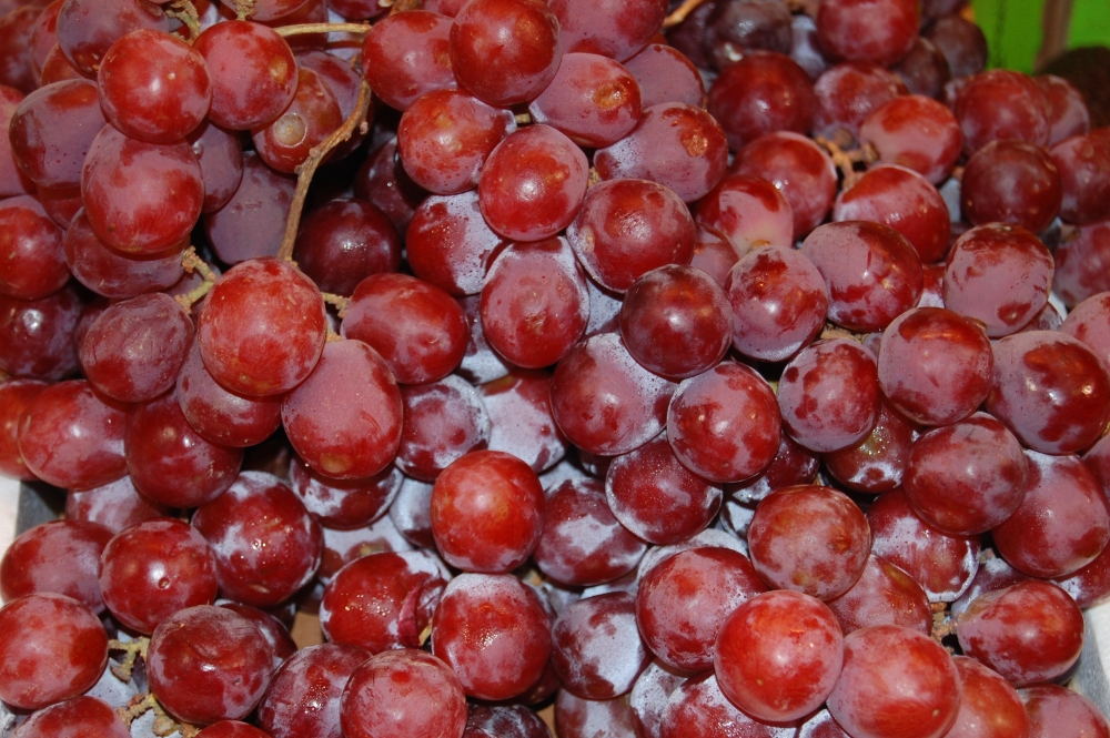 Las uvas siempre presentes en los banquetes