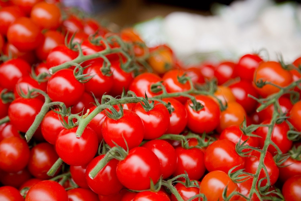 Tomate uva: una verdura que deberías probar